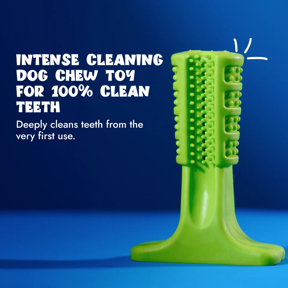 Pet Intense Teeth-Cleaning Toy