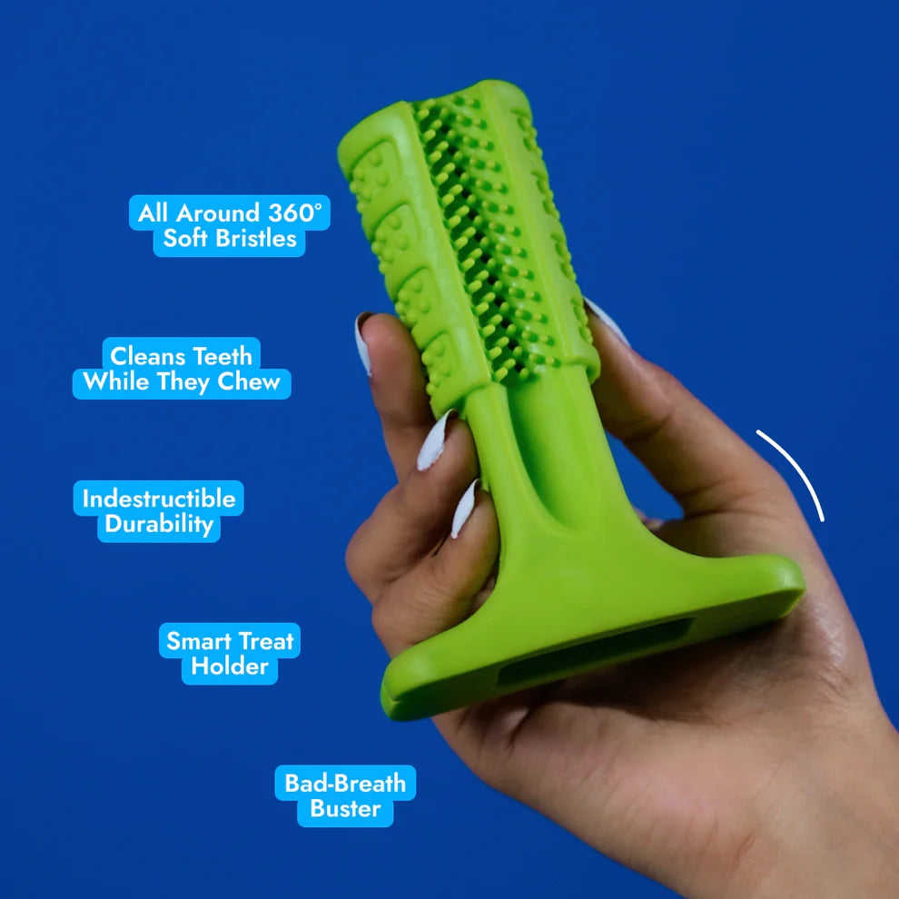 Pet Intense Teeth-Cleaning Toy