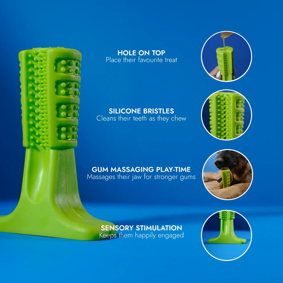 Pet Intense Teeth-Cleaning Toy