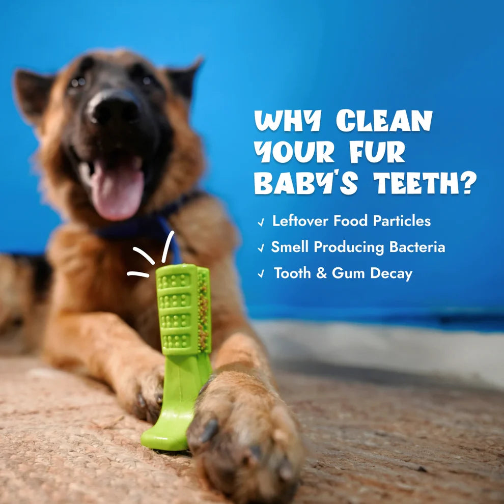 Pet Intense Teeth-Cleaning Toy