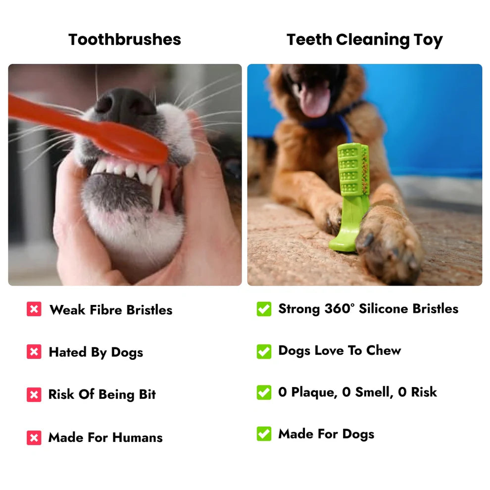 Pet Intense Teeth-Cleaning Toy